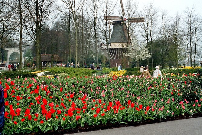 Private Day Trip from Amsterdam to Keukenhof with Entrance Tickets - What 4 Hours at Keukenhof Actually Lets You Do