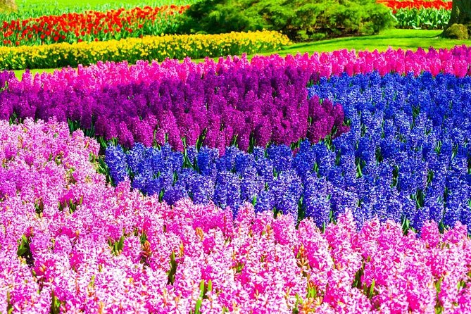 Private Flower Tour to the Keukenhof - The tulip-field drive: scenic comfort plus a route you do not have to plan