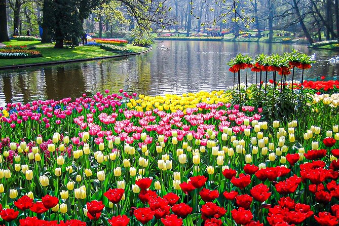 Private Flower Tour to the Keukenhof - Pickup details: how to avoid losing time (the easy checklist)