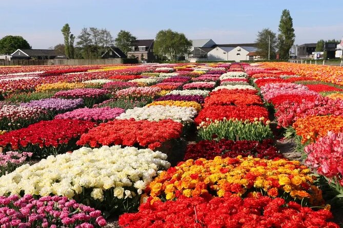 Private Flower Tour to the Keukenhof - Entry timing at Keukenhof: plan ahead or you lose flexibility