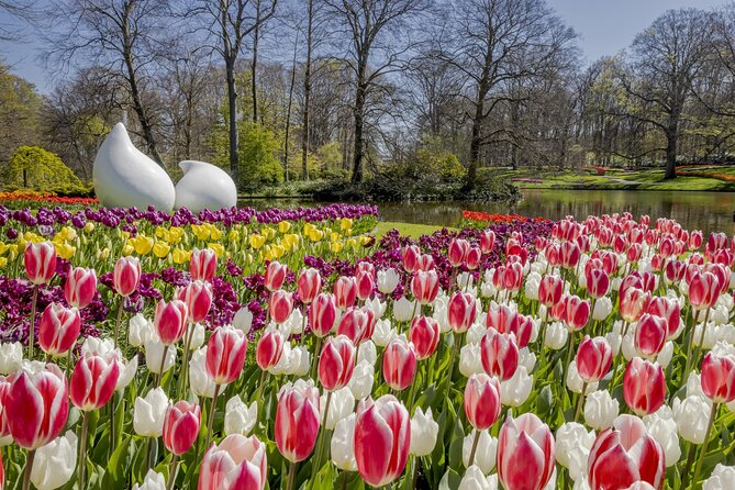 Private Flower Tour to the Keukenhof - The 5-hour outline: how the timing usually works