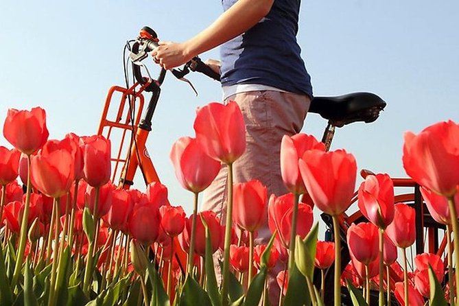 Private Guided Full-Day Customizable Tour of Holland from Amsterdam - Culture and Gardens Options, from Keukenhof to Delft Blue