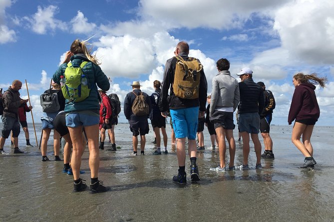 Private Guided Full-Day Customizable Tour of Holland from Amsterdam - Planning the Route: Your Pre-Tour Chat and Final Itinerary