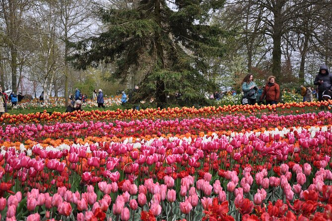 Private Guided Keukenhof Gardens and Zaanse Schans Tour - Should you book Windmillgirl Tours for Keukenhof and windmills?