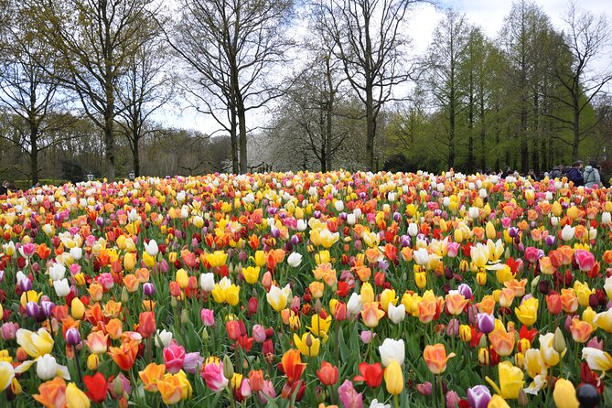 Private Guided Keukenhof Gardens and Zaanse Schans Tour - Zaanse Schans: time-travel windmills, chocolate, and calmer photo angles