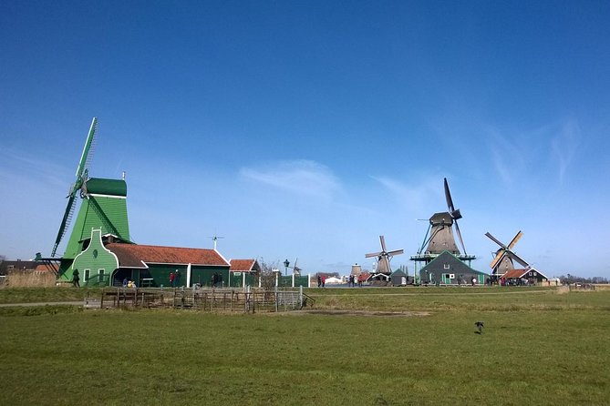 Private Guided Tour: Zaanse Schans and Zaandam from Amsterdam - Pickup in Amsterdam, and why the driver matters for your expectations