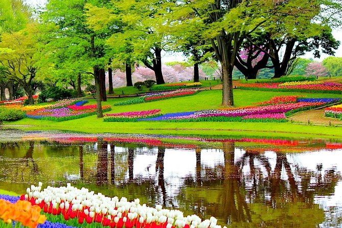 Private Half-Day Trip From Amsterdam to The Tulip Fields in Keukenhof - Private Amsterdam pickup that actually respects your schedule