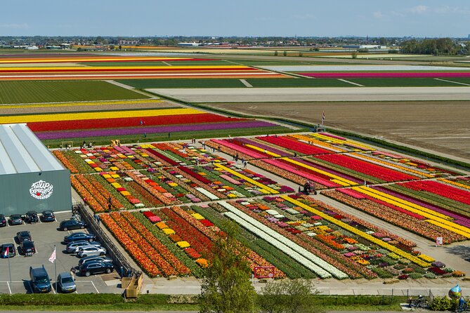 Private Keukenhof, Gardens, Windmills, cheese tour from Amsterdam - Zaanse Schans windmills: photo-friendly stops with real working details