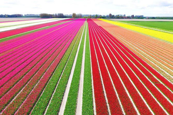 Private Keukenhof Park and Tulip Fields Tour (Skip-The-Line) - Key highlights at a glance