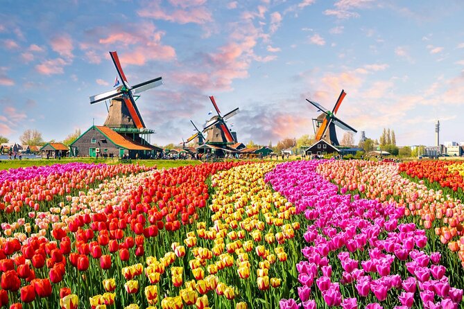 Private Keukenhof Park and Tulip Fields Tour (Skip-The-Line) - Private Keukenhof pickup: what makes this day trip feel easier
