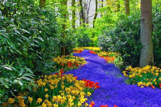 Private Keukenhof Park and Tulip Fields Tour (Skip-The-Line) - The surrounding Bollenstreek and a traditional tulip farm stop