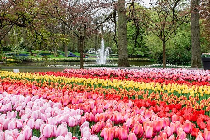 Private Keukenhof Park and Tulip Fields Tour (Skip-The-Line) - Keukenhof Gardens time: self-paced exploration with a safety net