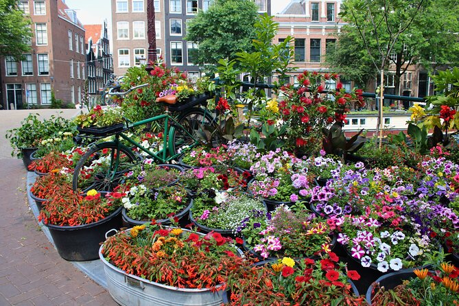 Private Kids Tour Amsterdam - Huis Bartolotti and the gevelstenen you can spot in seconds