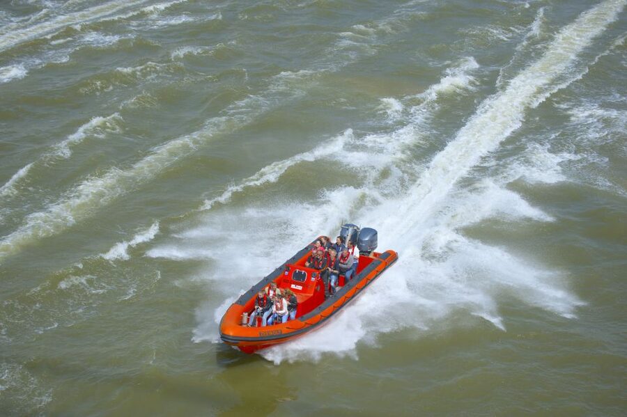 Private RIB-experience - Pushing North On The River: Vlaardingen, Waalhaven, And Pernis