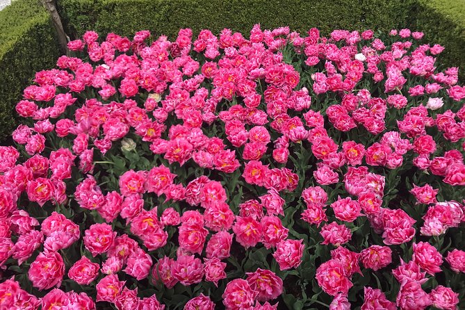 Private Tour to the Keukenhof and Tulip Fields - What you will carry in your head at the end of the day