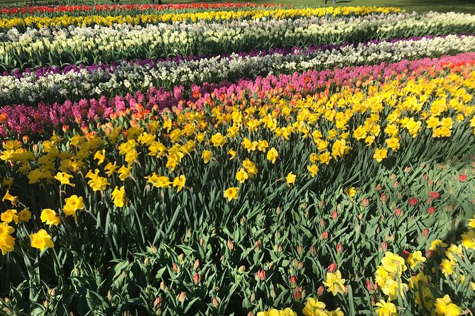 Private Tour to the Keukenhof and Tulip Fields - De Tulperij: a short farm stop for photos and a break