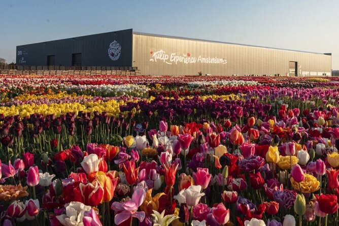 Private Tour to Tulips, Keukenhof, Windmills & Cheese Farm - Keukenhof: the big flower park, with time to wander