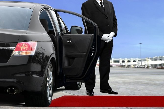 Private Transfer from Amsterdam Airport Schiphol to The Hague - Spotting the right car: vehicle details you will actually use