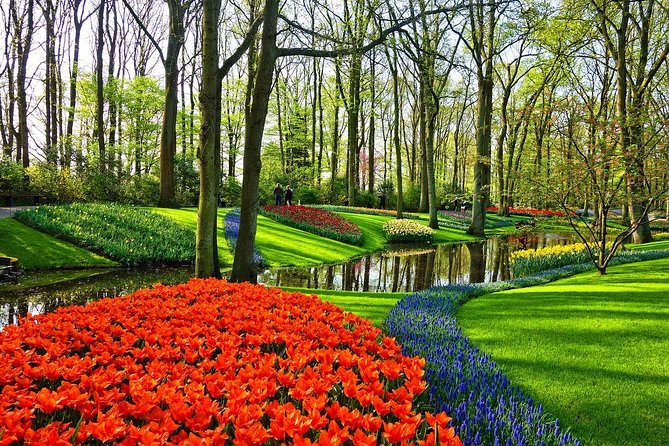 Private Tulip Fields, Windmills and Cheese Tour from Amsterdam - A private Holland day built around tulips, windmills, and cheese