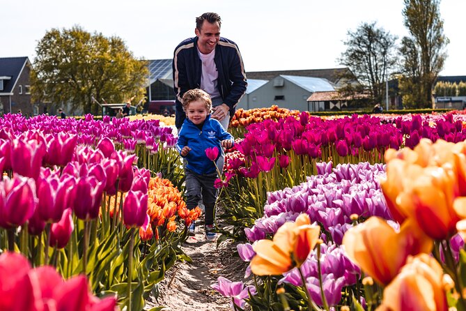 Private Tulip Fields, Windmills and Cheese Tour from Amsterdam - The host, timing, and why the day feels smooth