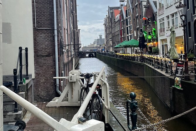 Private Walking Tour of Amsterdam - Who this tour suits best