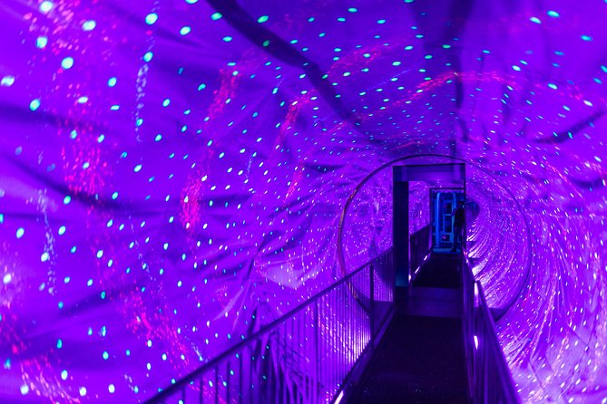 Ripley's Believe It or Not! Amsterdam Admission Ticket - The collection: from Faberge eggs to jungle oddities