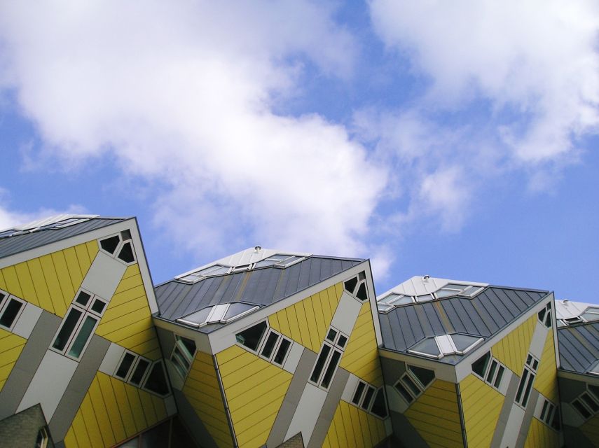 Rotterdam: 2.5-Hour Highlights Bike Tour - Erasmus Bridge and the ride through parks and museums
