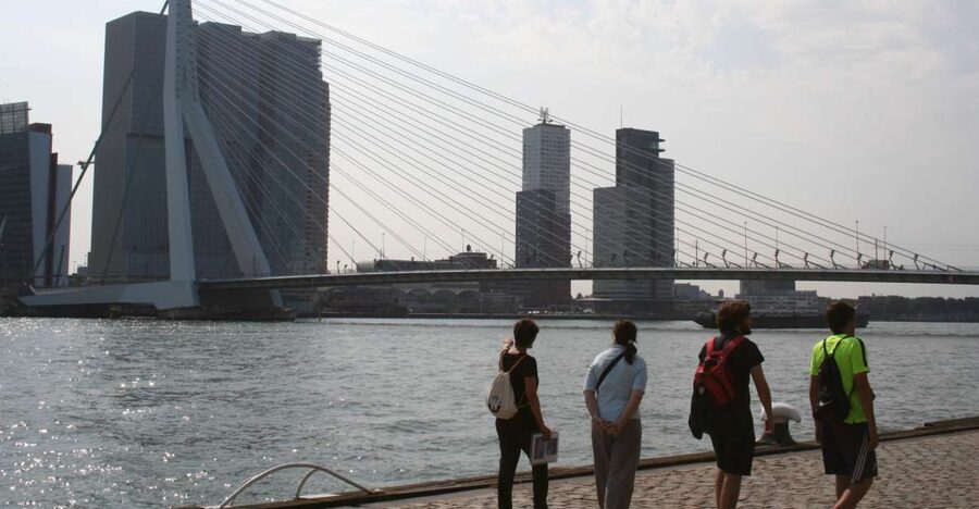 Rotterdam: Architectural Highlights Guided Walking Tour - The riverside and the Erasmus Bridge, Rotterdam’s future view