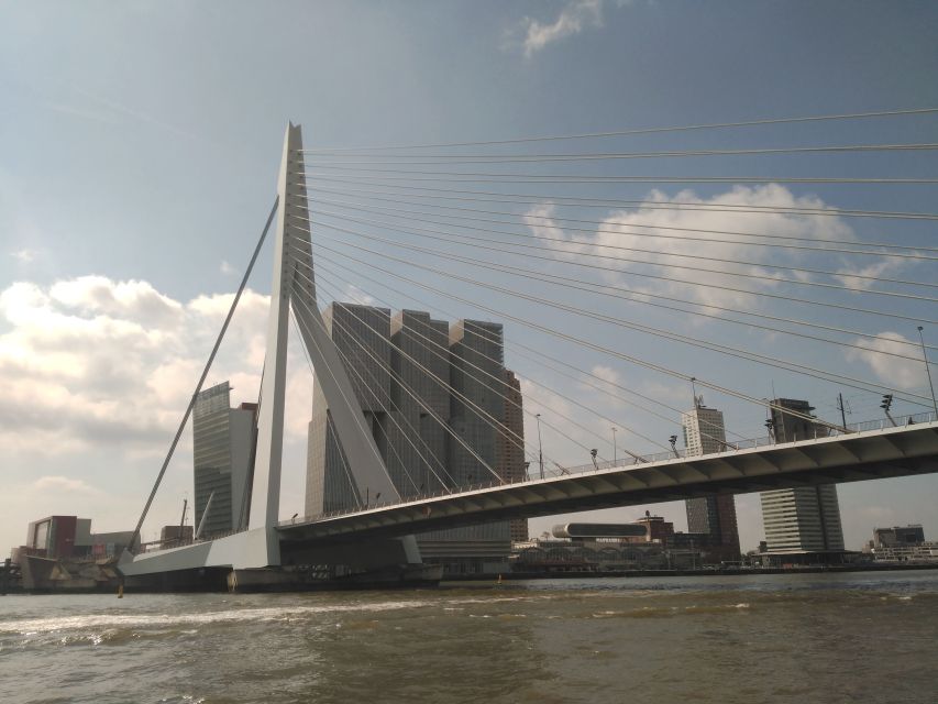 Rotterdam Architecture: Centre and South Bank with watertaxi - Cube Houses and the 4-kilometer rhythm toward the river