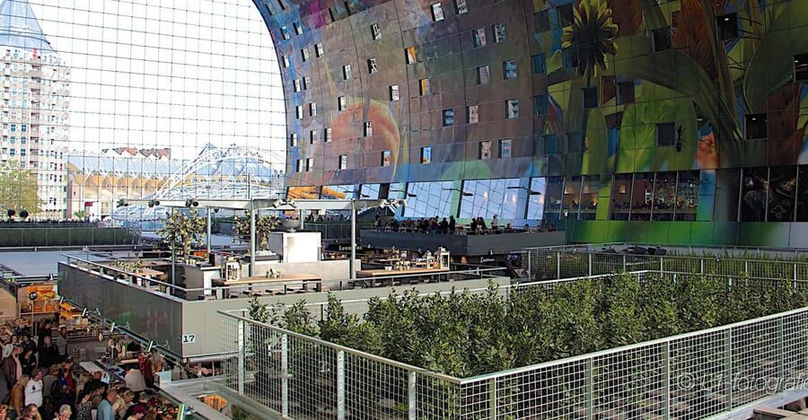 Rotterdam: City Center Walking Tour - Key moments on the route