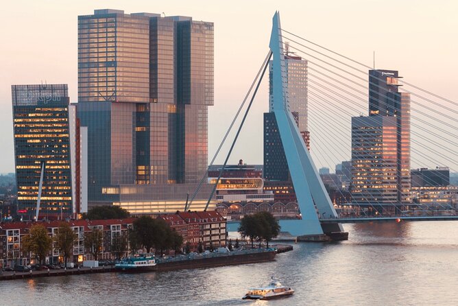 Rotterdam, Delft and The Hague Small Group Tour from Amsterdam - Peace Palace Outside in 15 Minutes, What to Look For