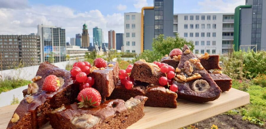 Rotterdam: Food Tour by Bike - Price and Value: Why $117 Can Still Feel Like a Deal