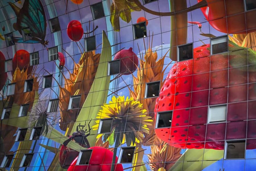 Rotterdam: Highlights, Gems, Architecture & History Walk - The guides: why the storytelling feels different here