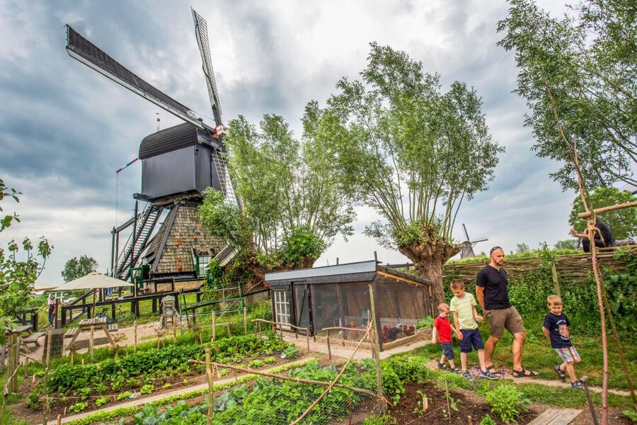 Rotterdam: Kinderdijk UNESCO World Heritage Entry Ticket - Kinderdijk UNESCO ticket: what you actually get for $25