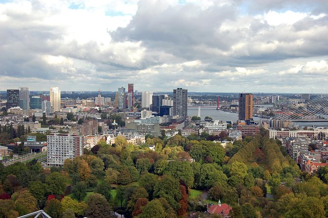 Rotterdam: Private Walking Tour with a Local - Key Highlights Worth Your Time