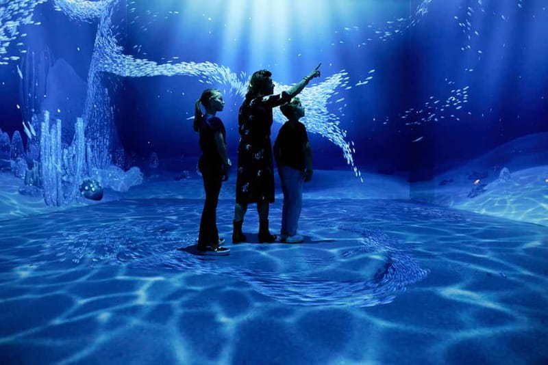 Rotterdam: "Remastered" Digital Art Audiovisual Experience - First Look Under the Erasmus Bridge