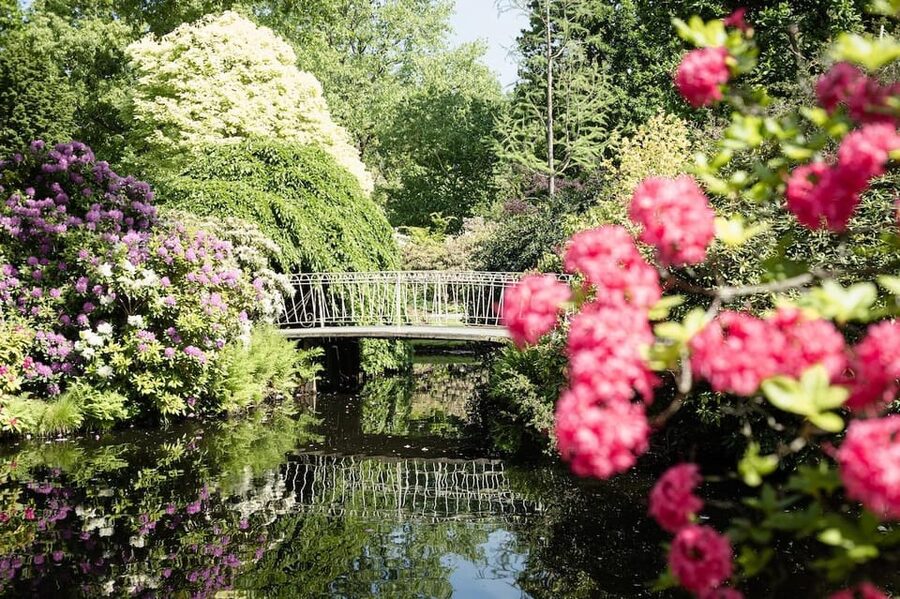 Rotterdam: Trompenburg Botanical Gardens Entry Ticket - Key things that make Trompenburg Gardens worth your time