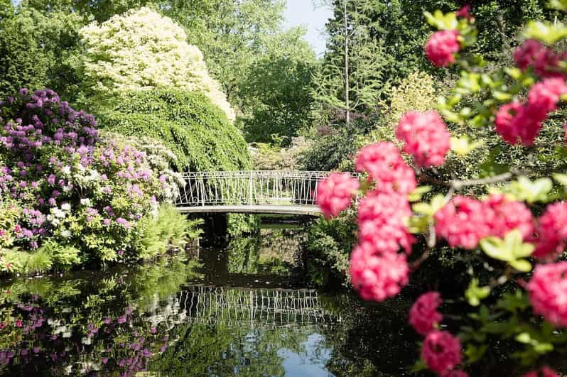 Rotterdam: Trompenburg Botanical Gardens Entry Ticket - Your best plan: how to use the day in the most satisfying way