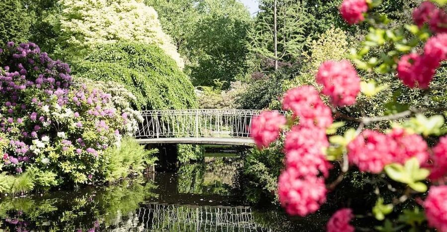 Rotterdam: Trompenburg Botanical Gardens Entry Ticket - Price and value: $15 for a full day of garden time