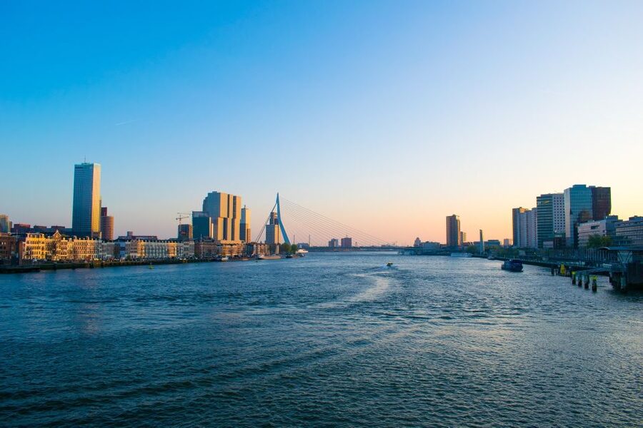 Rotterdam Walking Tour and Harbor Cruise - Key Highlights You Will Actually Notice