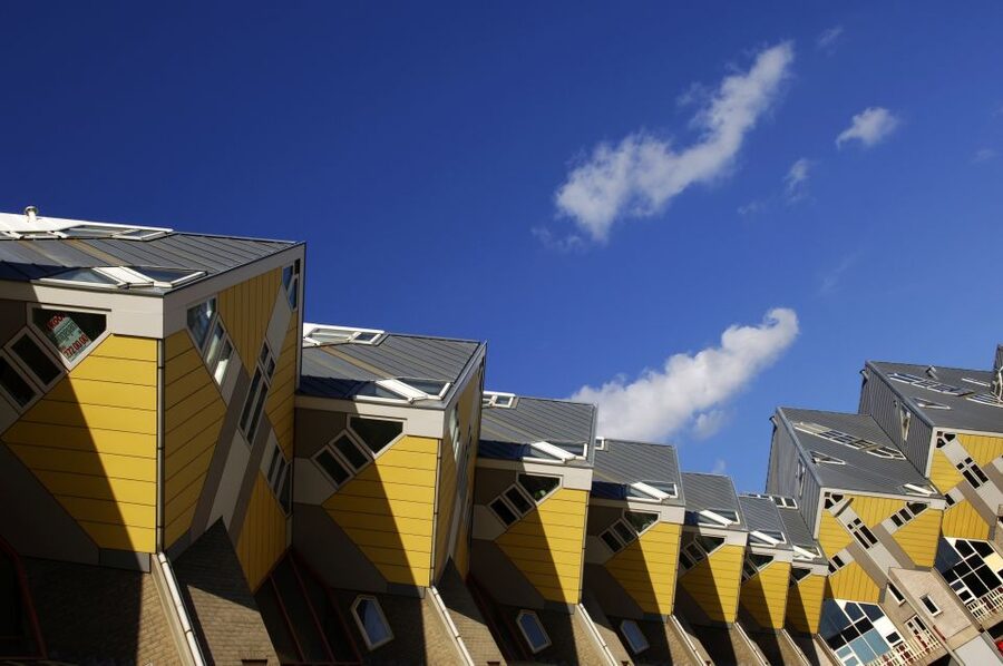Rotterdam Walking Tour and Harbor Cruise - Blom’s Cubic Houses: Abstract Tree, Urban Forest Thinking
