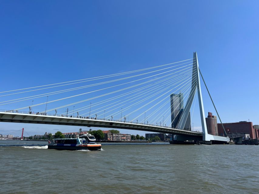 Rotterdam: WaterShuttle Ticket to Kinderdijk - The return boat and timing: avoid the waiting game