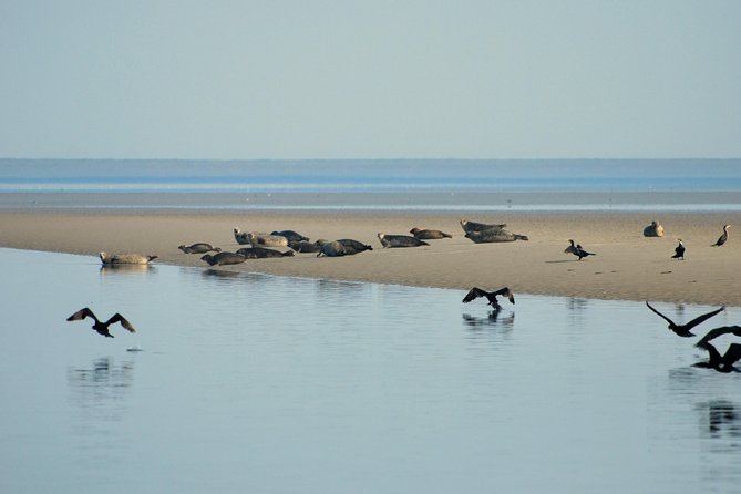 Seal Safari at UNESCO Site Waddensea from Amsterdam - Twisk: the 17th-century village stop that breaks up the day