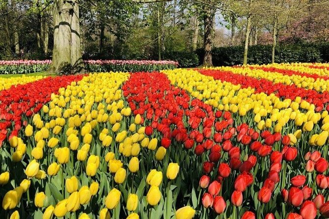 Skip-the-Line Keukenhof Gardens and Tulip Fields Tour from Amsterdam - Duration and Flow: A Four-Hour Day That Fits Real Schedules