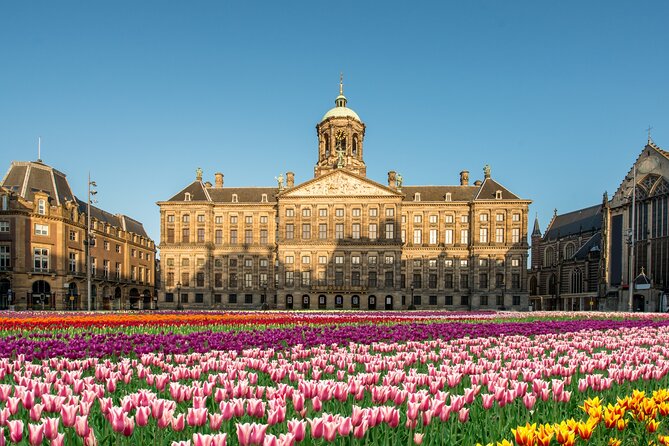 Skip-the-line Royal Palace of Amsterdam Private Guided Tour - The real value of skip-the-line Royal Palace timed entry