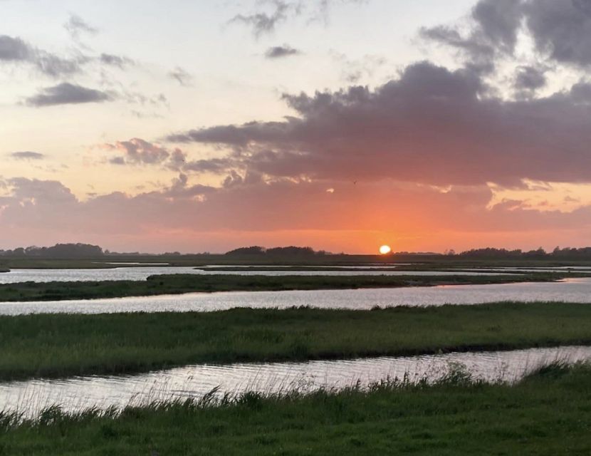 Small group full day island tour to Texel from Amsterdam - Why Texel and Waddensea deserve a full-day visit
