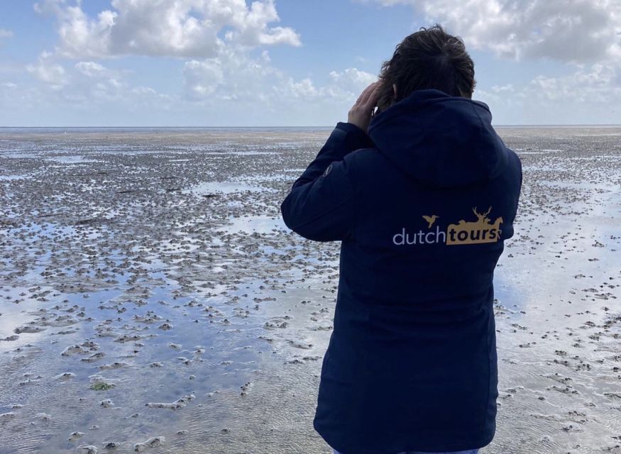 Small group full day island tour to Texel from Amsterdam - Wildlife and the end-of-day feeling: birds, seals, and a closing view