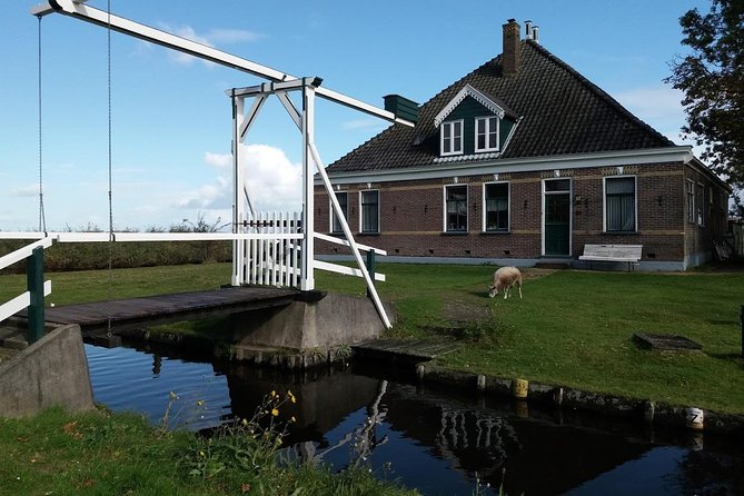 Small-Group Guided Sunset Canoe Tour in Waterland with Dinner - Picnic dinner on an island, with windmill views by the lake