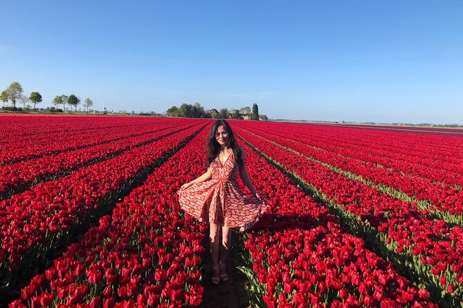 Small Group Keukenhof and Delft Guided Tour from Amsterdam - The key things that make this tour worth your time