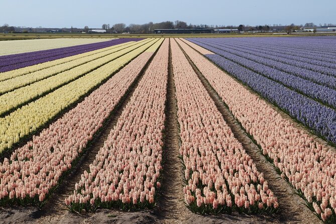 Small Group Keukenhof and Delft Guided Tour from Amsterdam - Entering spring Dutch flower country at Keukenhof